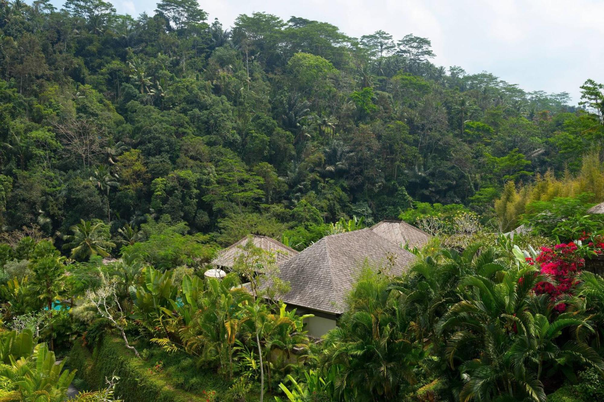 אובוד Mandapa, A Ritz-Carlton Reserve מראה חיצוני תמונה